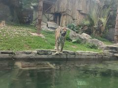 -深圳野生动物园