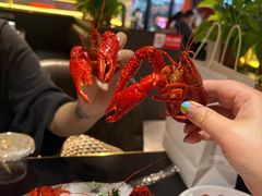 -京悦南门涮羊肉·羊蝎子火锅(田林路店)