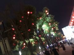-大雁塔北广场音乐喷泉