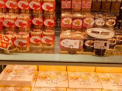 -蒲公英(五里店)
