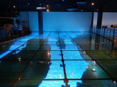 -上海长江河口科技馆