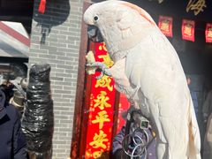 -四海楼(如皋定慧禅寺店)
