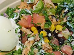 -油梨树AVOCADO TREE(望京店)