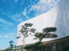 -罗红摄影艺术馆