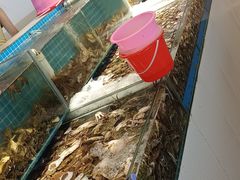 -港畔赶海蒸汽海鲜烧烤自助(仙螺岛店)