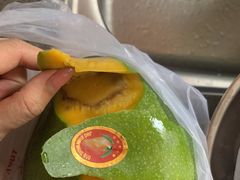 -大湾区中央湿地公园-十九涌