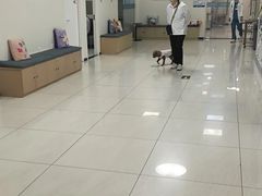 -美联众合动物医院·24h京西诊疗中心