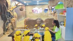 -DoDo梦想城(泉舜购物中心店)