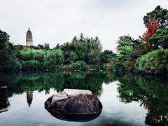 -崇圣寺三塔文化旅游区