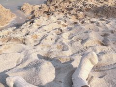 -仙海旅游度假区