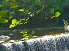 -少华山国家森林公园