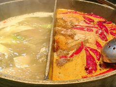 -大龙燚·旷野鲜火锅(广州首店)