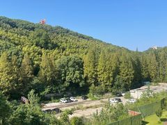 -上海佘山世茂艾美酒店