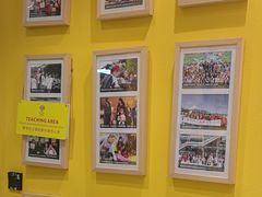 -杨梅红艺术教育(北京金源购物中心校区)