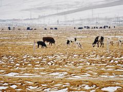 -青海湖国家重点风景名胜区
