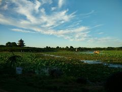 景点-上海海湾国家森林公园
