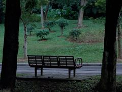 -东莞植物园
