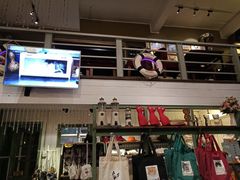 -猫咪博物馆(顶澳仔猫街店)