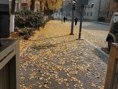 -西南交通大学(九里校区)