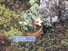 -国家植物园南园