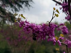 -宜兴龙背山森林公园