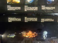 -同济大学四平路校区深海探索馆