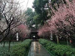 -成都杜甫草堂博物馆