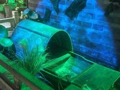 -韵秋荷(宝山龙湖天街店)