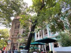 -星巴克臻选(广州沙面店)