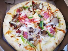 -达美乐比萨(国瑞北路店)