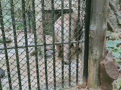 -海南热带野生动植物园