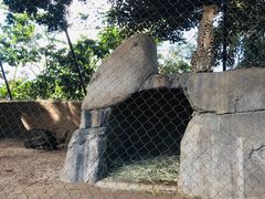 -圣地亚哥动物园