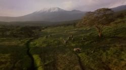 点击看大图 -翱翔飞越地平线