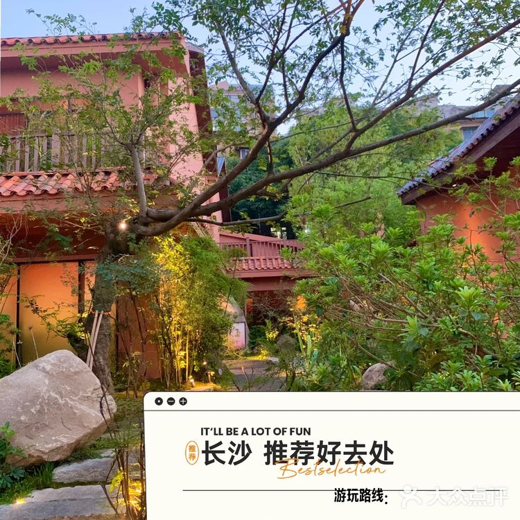 小众宝藏餐厅推荐！与其说这是餐厅，还不如说叫室内园林！