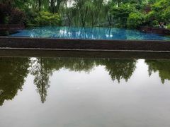 -杭州西子湖四季酒店-WL BISTRO西湖餐厅(灵隐路店)