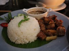 -Fern Forest Cafe