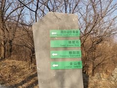 -阳台山自然风景区