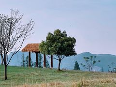 -良渚古城遗址公园