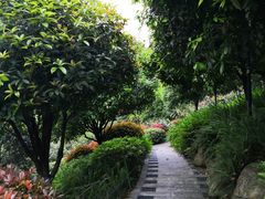 -龙头寺公园