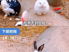 -中山公园