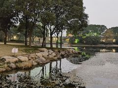 -蠡湖大桥公园