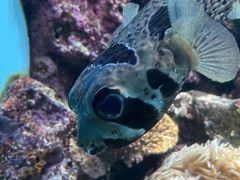 -鹿儿岛水族馆