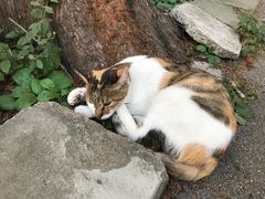-星轶影院(南京茂业天地店)