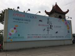 -洪湖生态旅游区