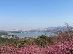 -香雪海