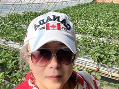 -甜心庄园·甜心草莓采摘园(西青中北店)