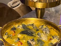 -Darling Queen·Mini·Live·House