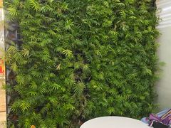-Green Option(官舍店)