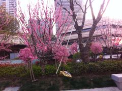 -汉巴味德自助餐厅(嘉定宝龙广场店)