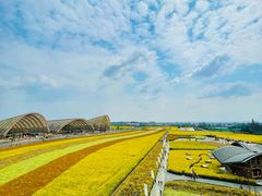 -中国天府农业博览园